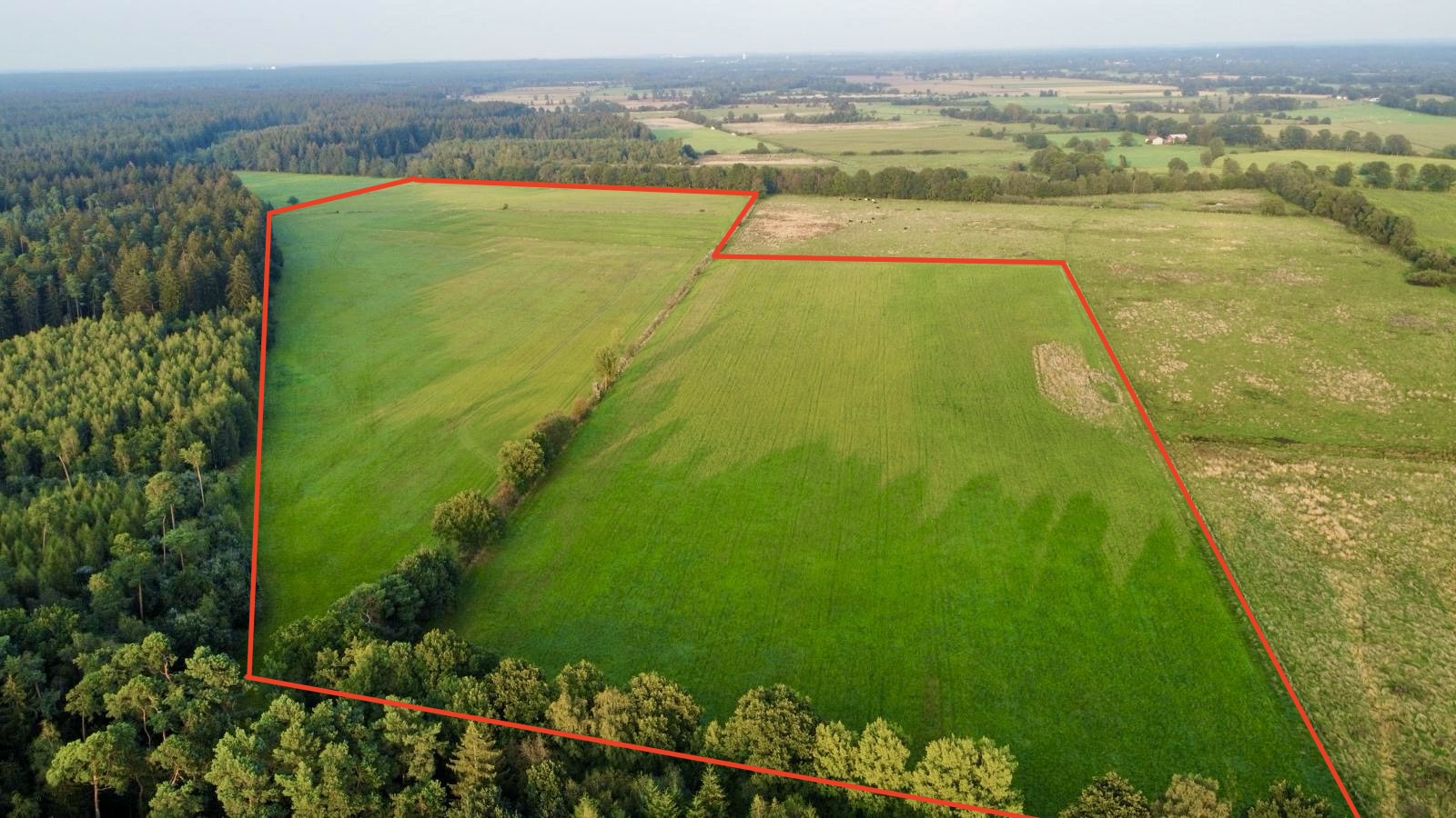 35 ha landwirtschaftliche Grünlandflächen zum Verkauf in 24628 Hartenholm 